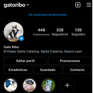 Instagram Ribo